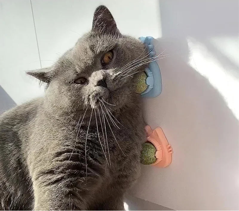 Catnip Wall Ball - Natural Edible Cat Mint Toy for Hairball Relief
