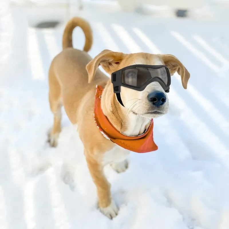 UV-Protective Dog Sunglasses – Windproof Anti-Fog Goggles for Outdoor Travel