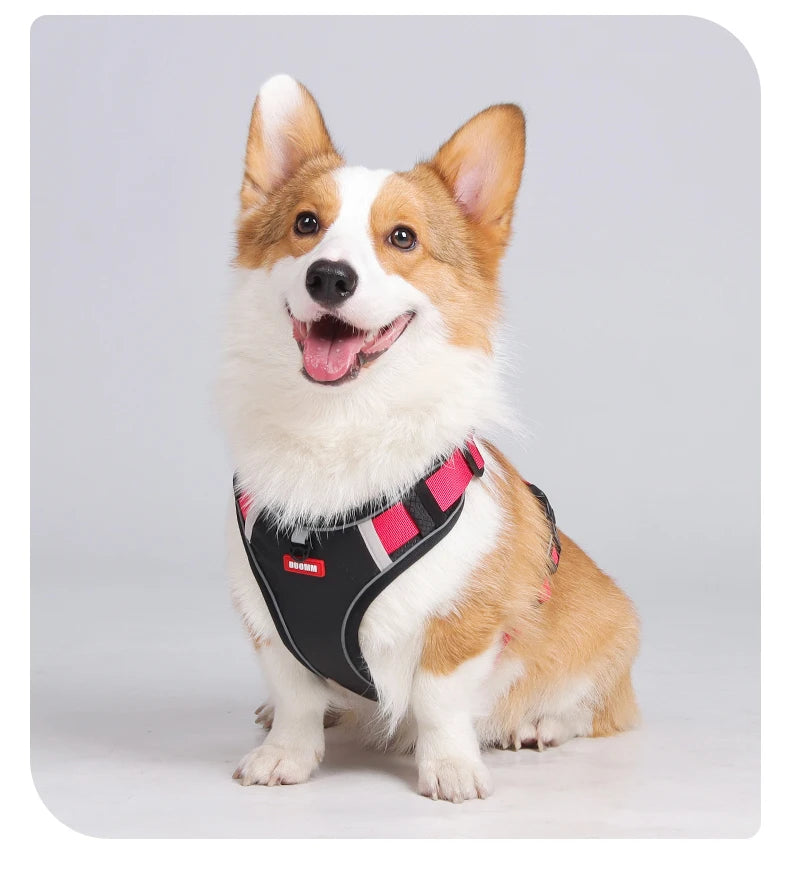 Reflective No-Pull Dog Harness Vest with AirTag Holder