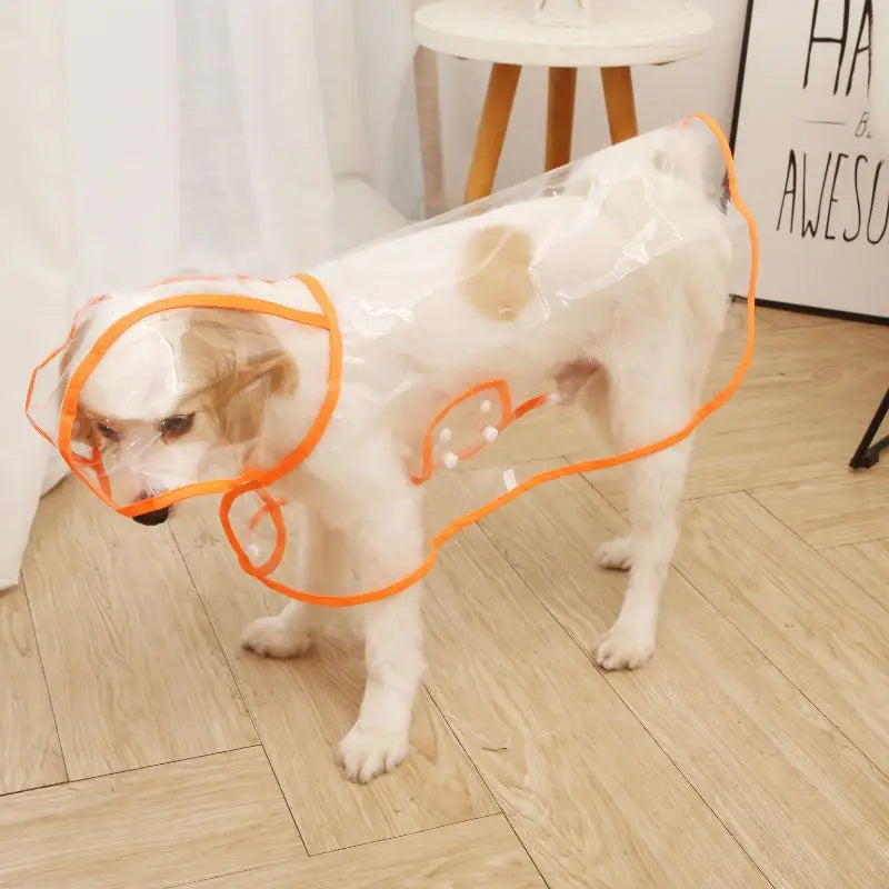 Transparent Waterproof Raincoat for Small & Medium Dogs