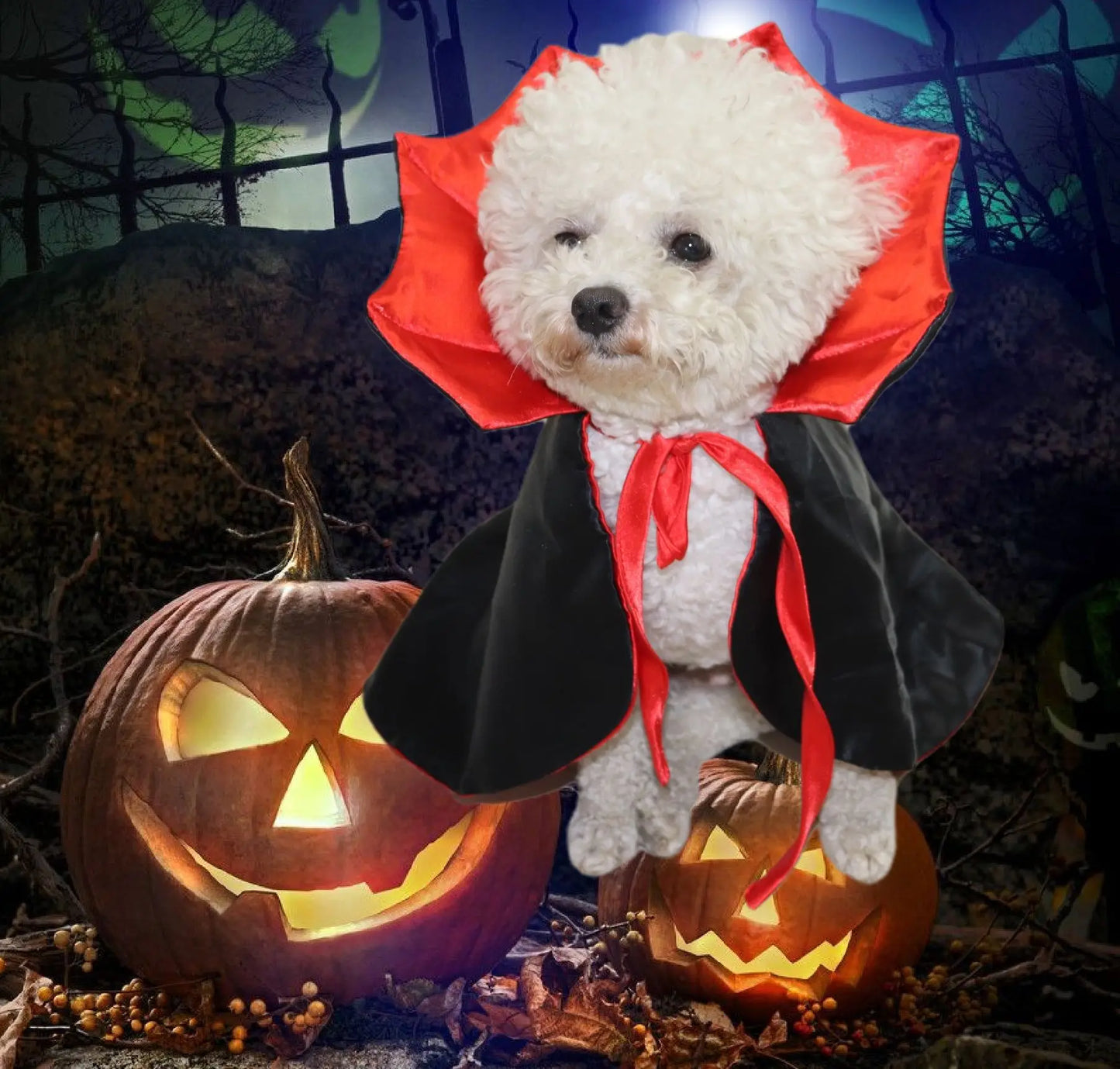 Halloween Vampire Devil Cape Costume for Dogs — Cosplay Cloak for Small, Medium & Large Dogs