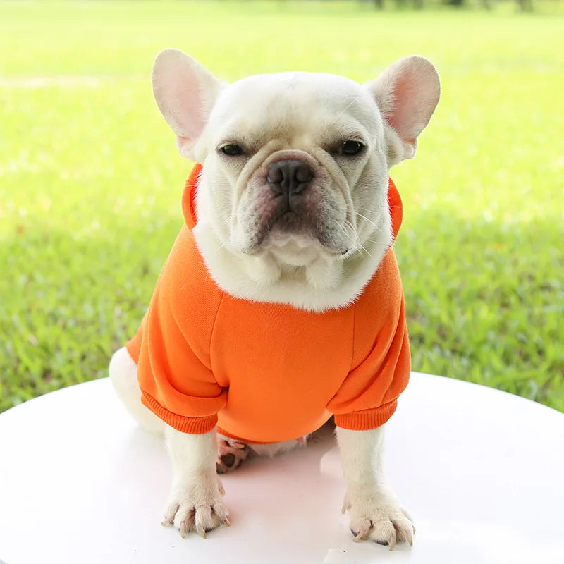 Manteau à capuche en polaire pour chien | Veste sweat chaude d'automne et d'hiver pour petits chiens et chats