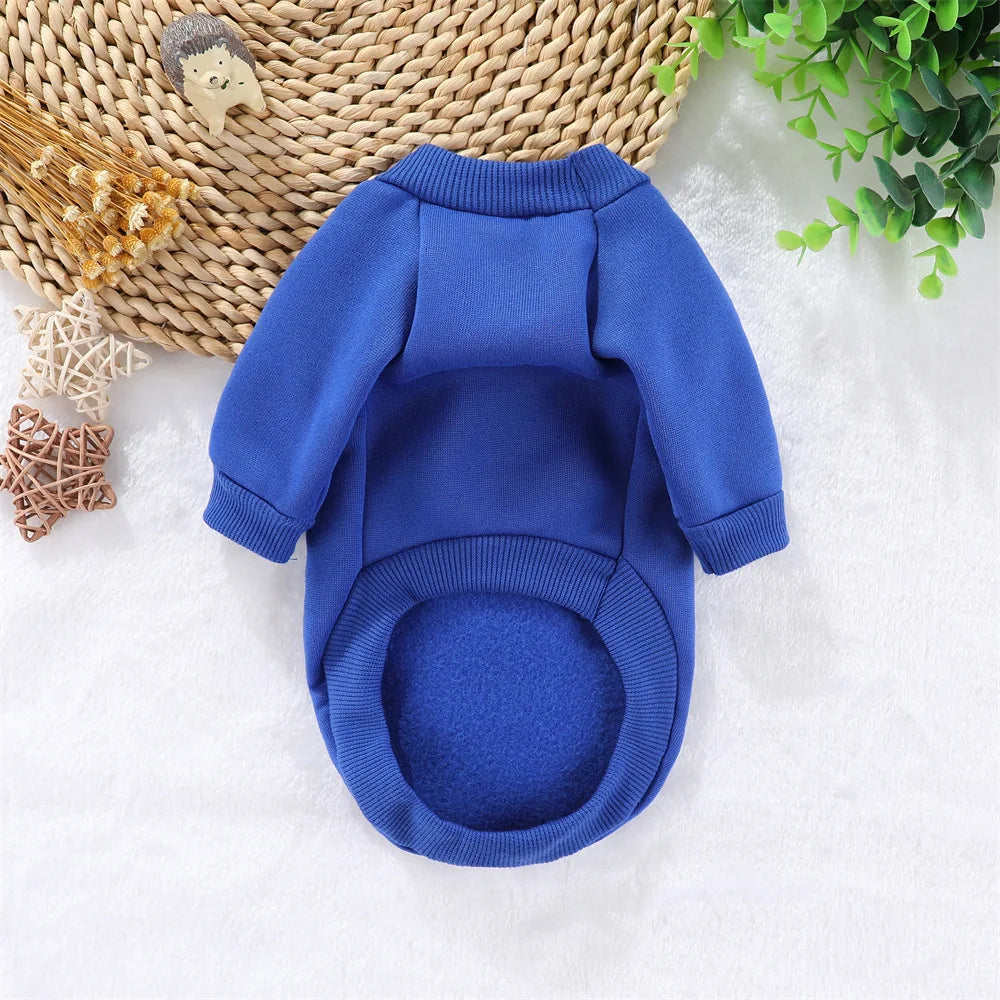 Round Neck Sweatshirt with Traction Ring for Small Dogs & Cats