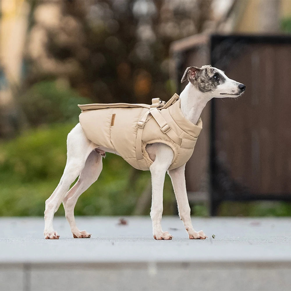 Autumn Winter Pet Clothes Outdoor Dog Jacket with Harness for Small Medium Dogs Thick Warm Pet Cotton-Padded Clothing