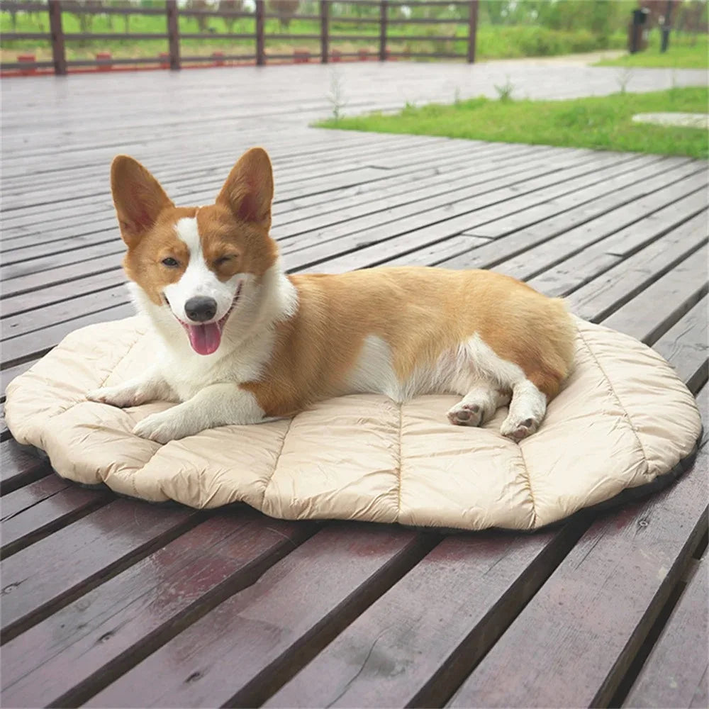 Canapé lit premium pour animaux de compagnie - Chiens et chats