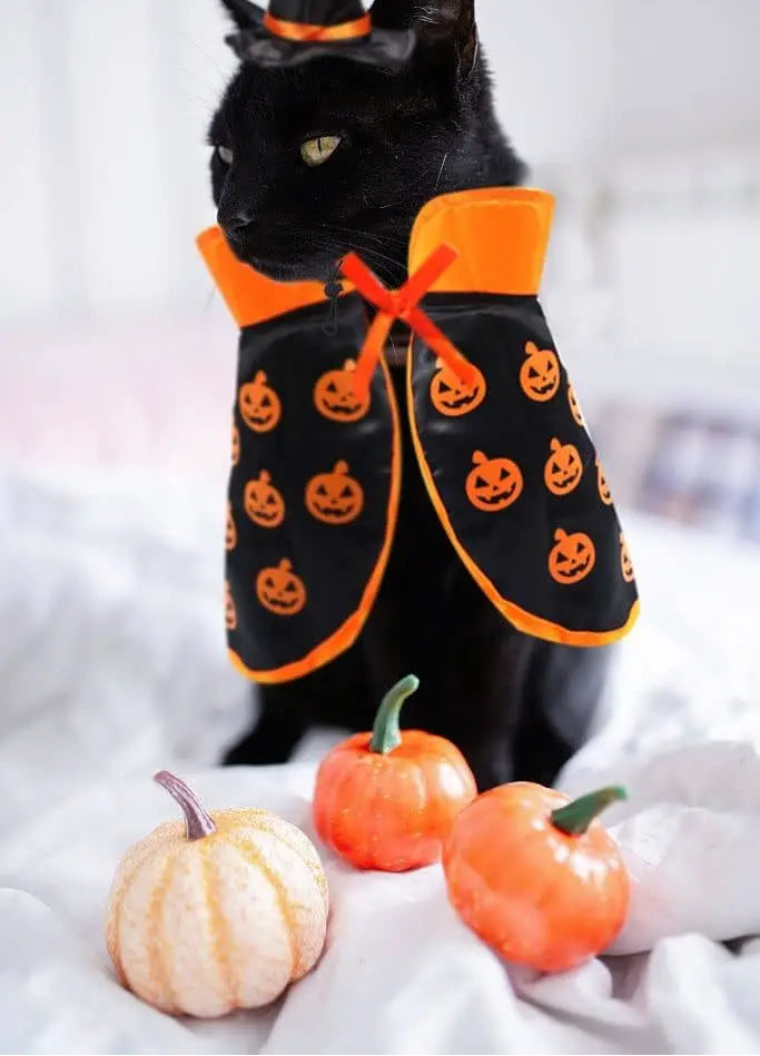 Cape de vampire pour chat – Costume d'Halloween réglable pour animaux de compagnie
