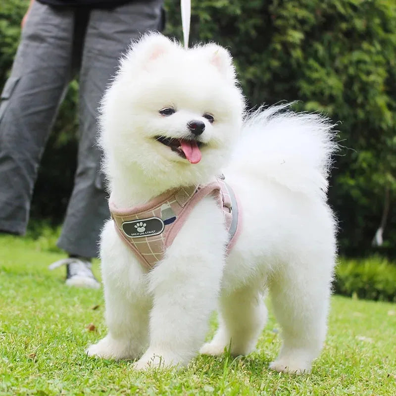 Gilet Tactique pour Chien avec Sangle de Poitrine