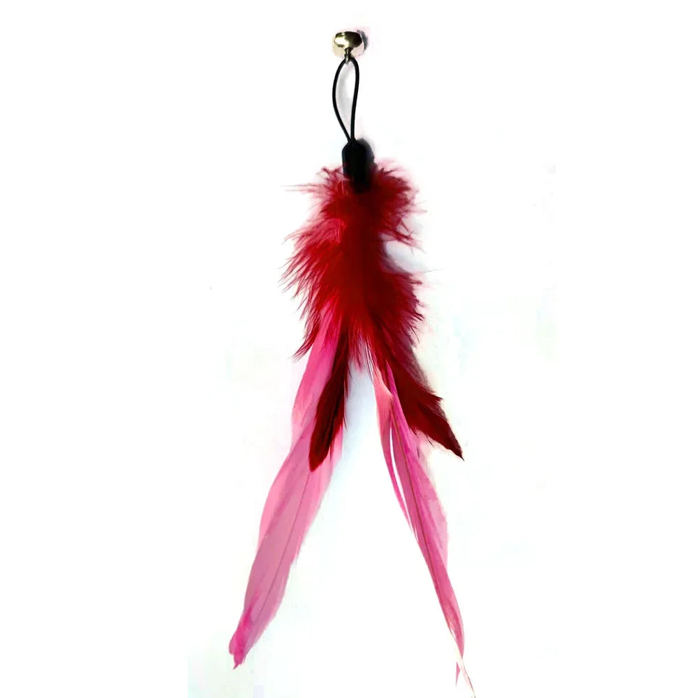 Feather Wand Cat Toy with Bell & Worm String - Interactive Teaser Set