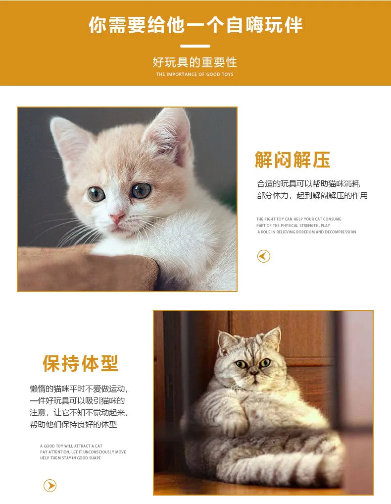 Jouets interactifs et colorés pour chats et chatons