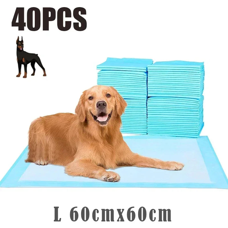 Super Absorbent Disposable Puppy Training Pads — Quick-Dry Surface for Fast, Clean Results
