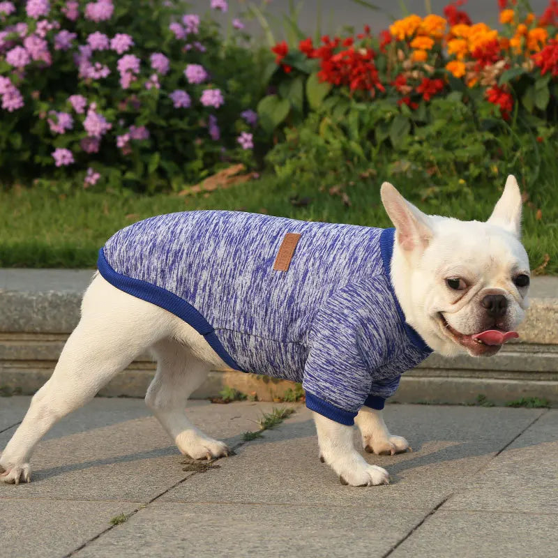 Winter Pet Jacket - Warm Coat for Dogs and Cats