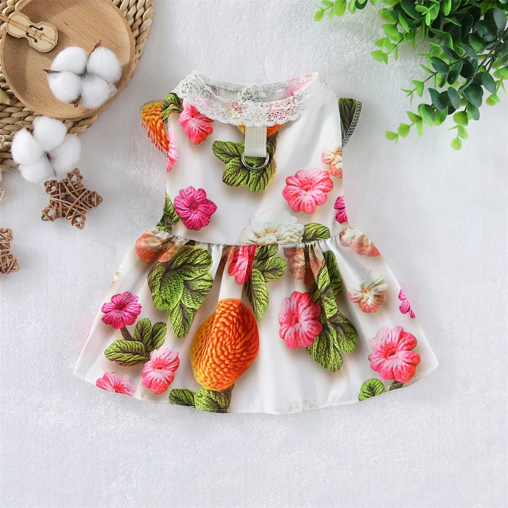 Lace Collar Dress for Cats & Small Dogs
