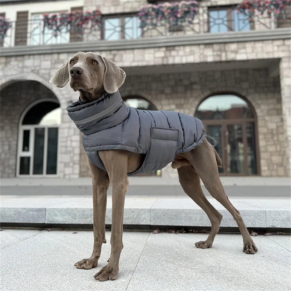 Waterproof High-Collar Down Jacket for Dogs
