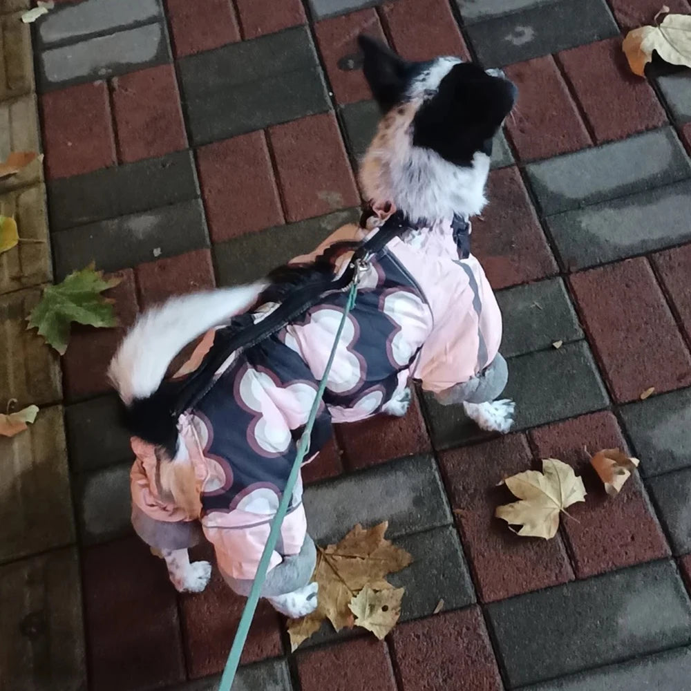 Thickened Reflective Winter Jumpsuit for Small Dogs
