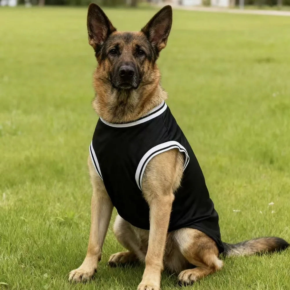 Maillot de refroidissement en maille pour chien de basket-ball de Chicago | Haut d'été respirant pour chiens de taille moyenne et grande