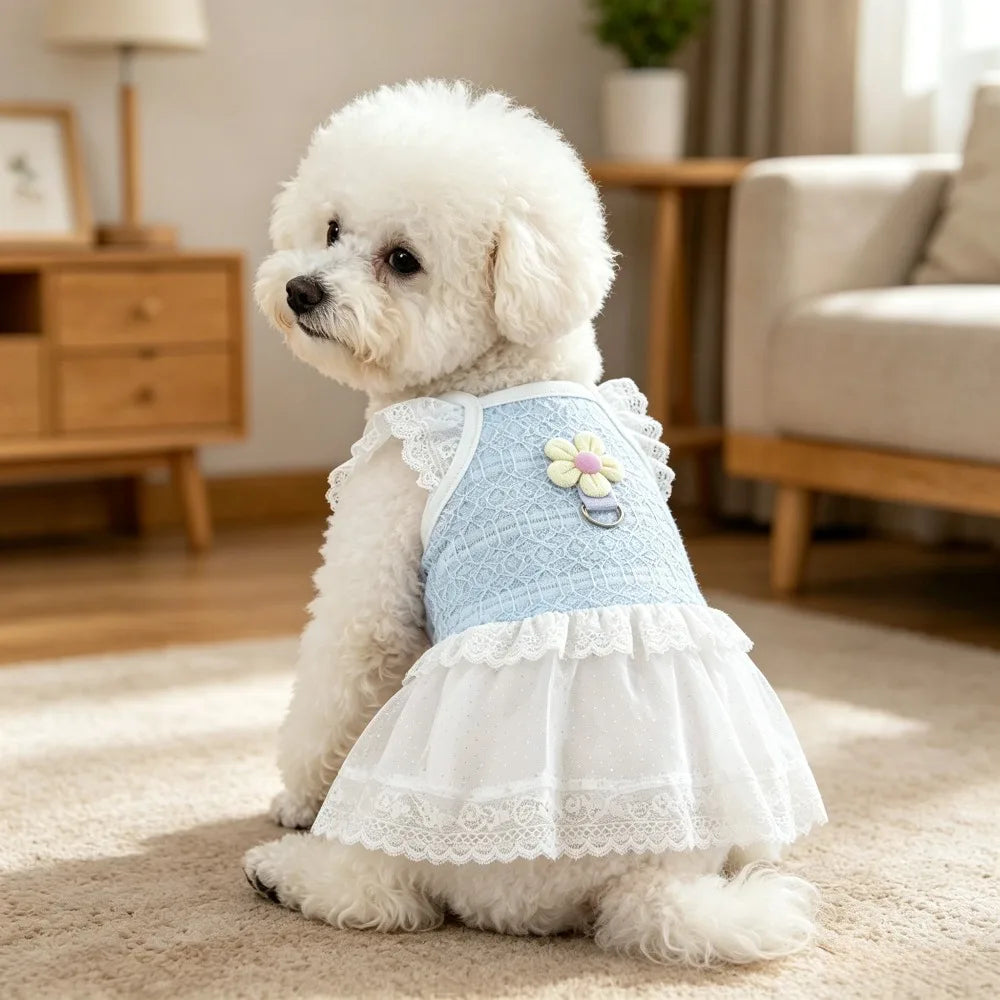 Lace Princess Dress with D-Ring for Small Dogs & Cats