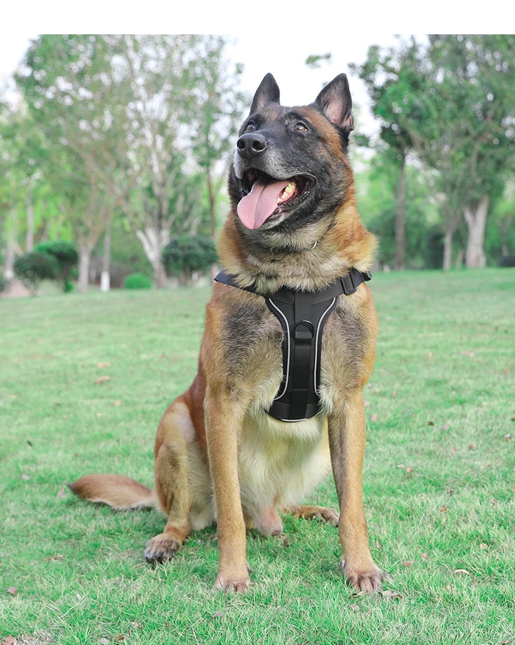 Harnais tactique respirant pour chien avec boucle à dégagement rapide