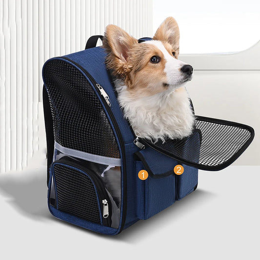Foldable Mesh Pet Carrier Backpack