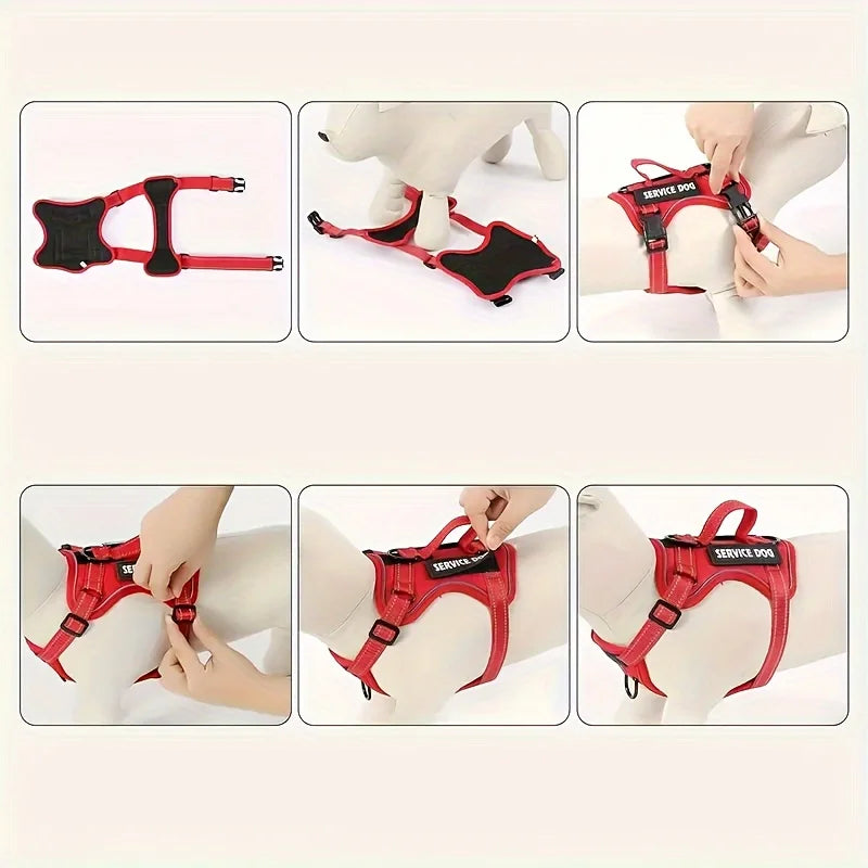 Ensemble harnais et laisse réfléchissants pour chien avec gamelle pliable