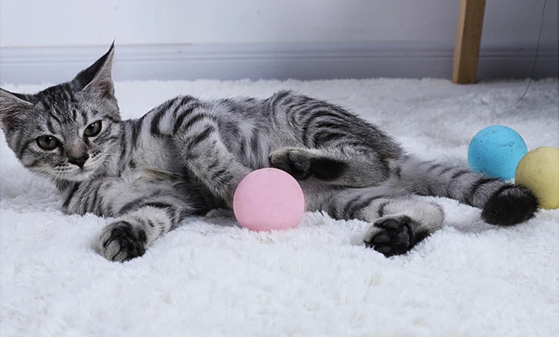 Sound Ball Cat Toy — Animal Noise Squeaky Ball for Cats & Kittens