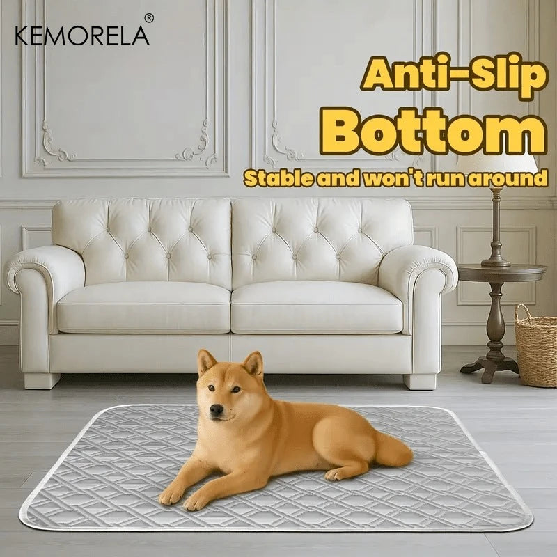 Washable Puppy Training Pads — Pack of 2