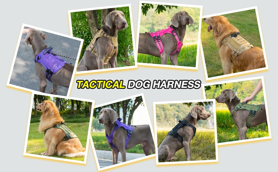 Harnais Tactique pour Chien avec Sangle de Poitrine et Boucle de Renfort