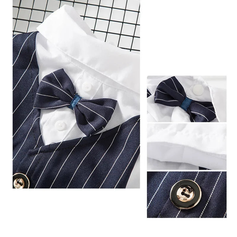 Striped Tuxedo Jacket with Bow for Small Dogs & Cats