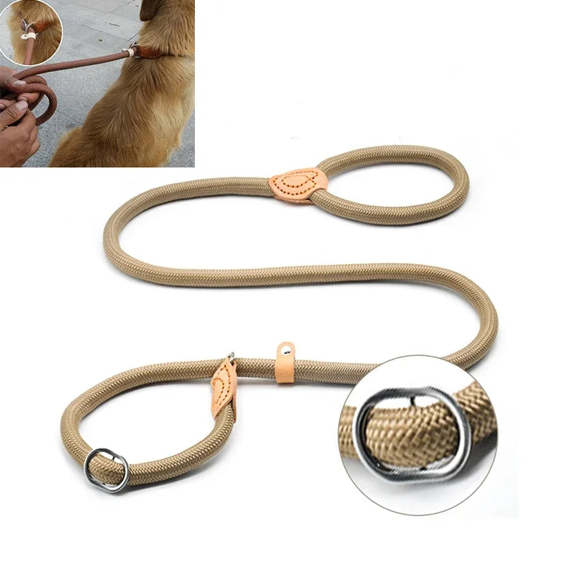 Laisse-collier chien - Corde tressée robuste avec boucle réglable pour grands chiens