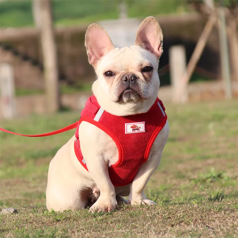 Reflective Mesh & Plaid Dog Vest Harness and Leash Set