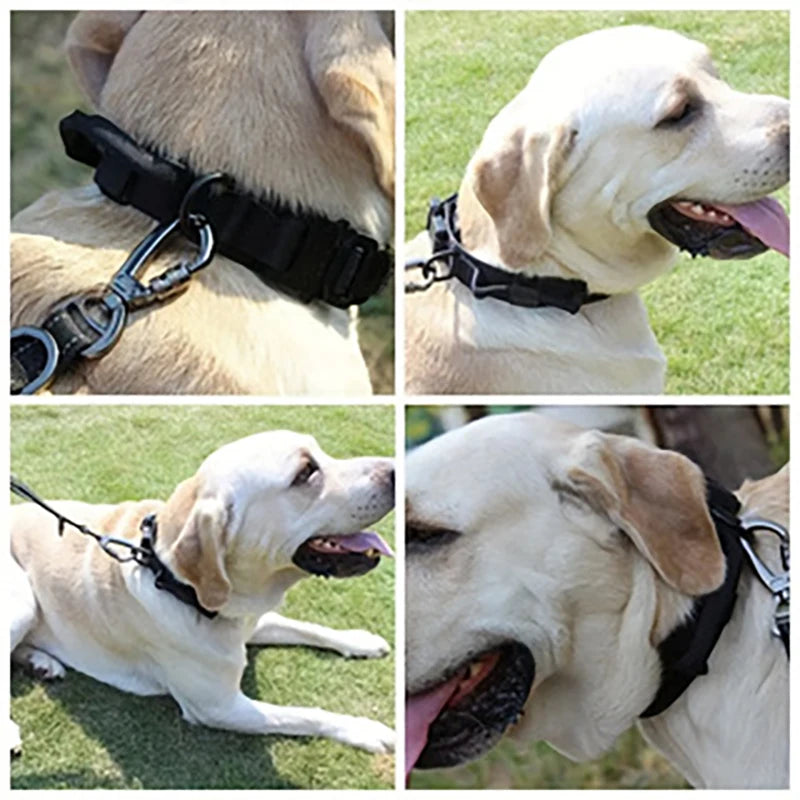 Tactical Military Nylon Dog Collar with Control Handle & Metal Buckle