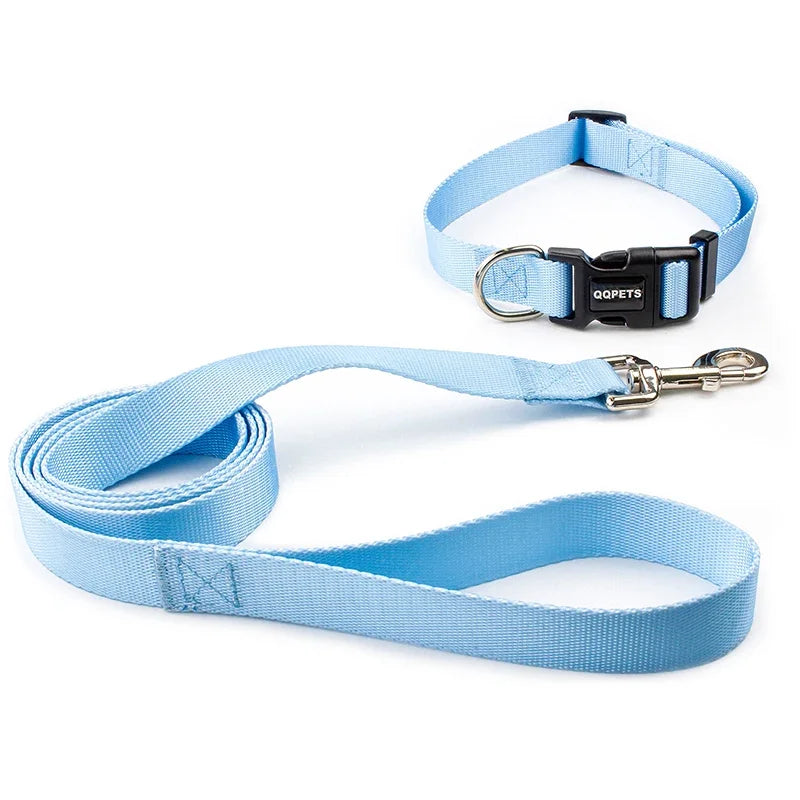 Ensemble laisse et collier réglables en nylon pour chiens - Pour petits et grands chiens