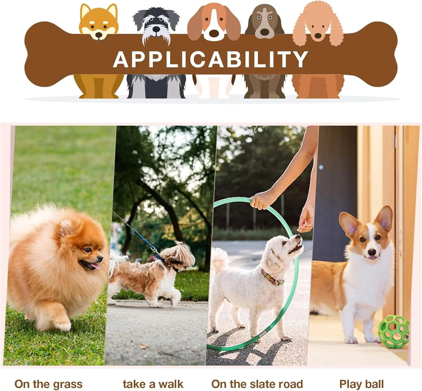 Chaussures et protections pour les pattes de chien