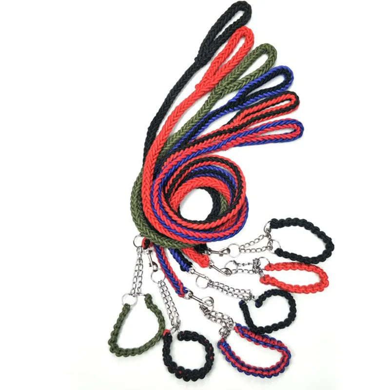 Ensemble laisse et collier réglables pour chiens de taille moyenne à grande