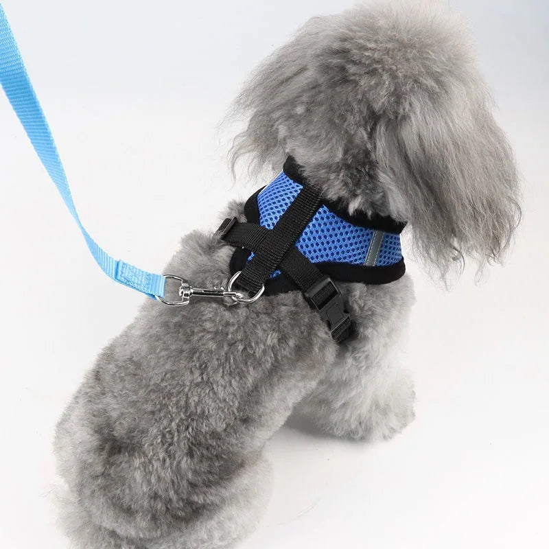 Harnais anti-évasion pour chat et chien avec laisse - Gilet en maille réglable pour la promenade