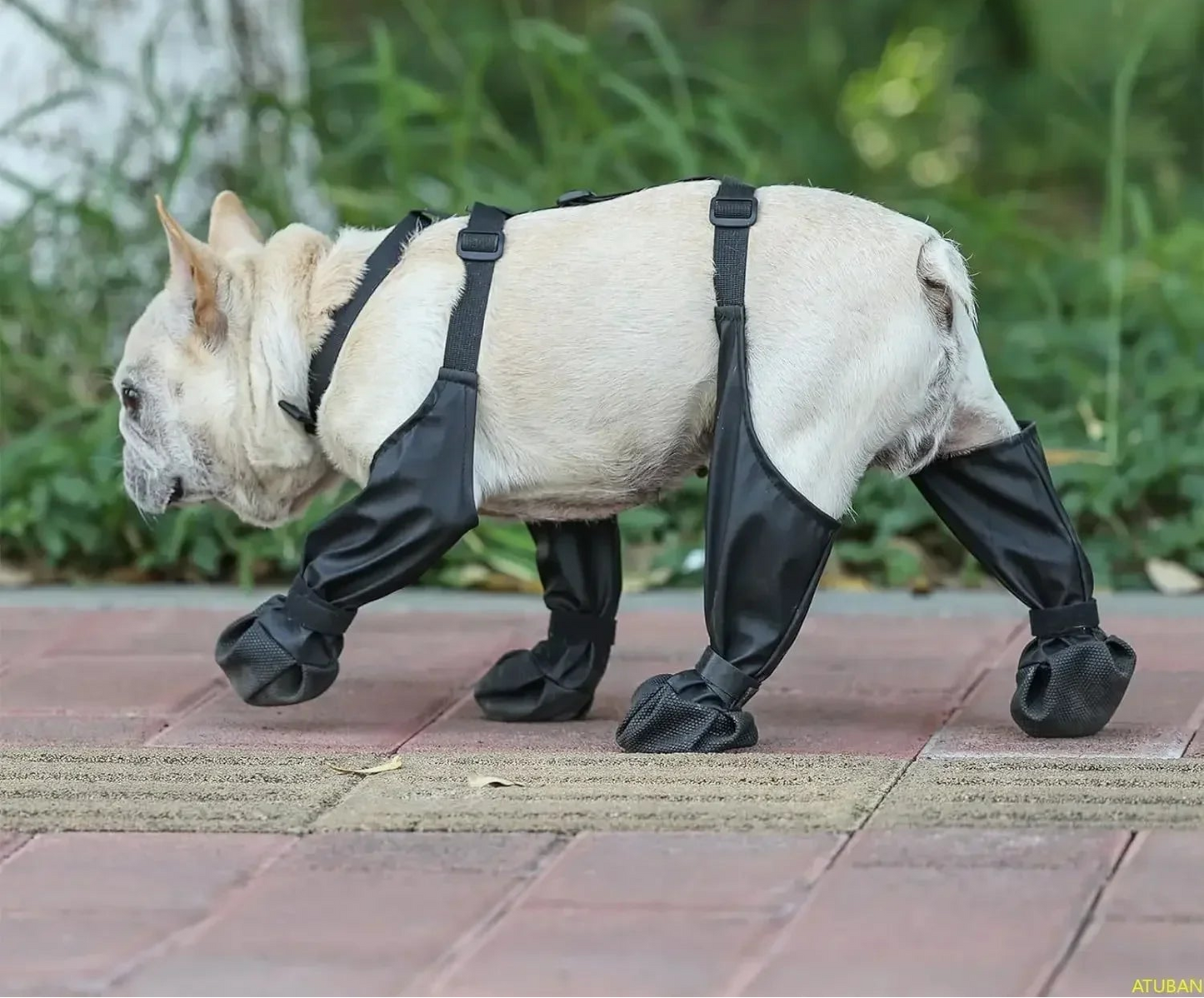 Bottes imperméables pour chien - Chaussures de protection antidérapantes pour la marche en extérieur