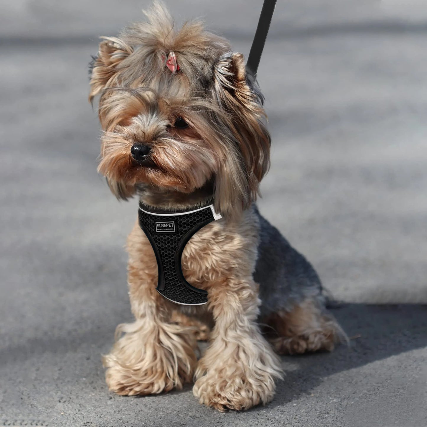 Adjustable Mesh Harness & Lead Set — Breathable Reflective Vest for Small Dogs & Cats