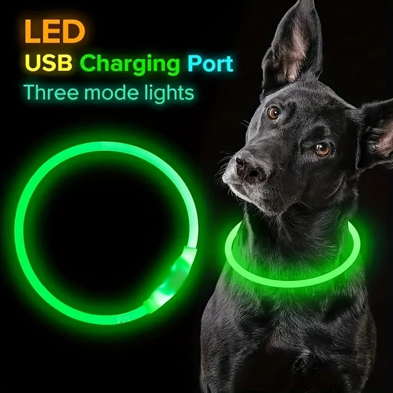 Collier lumineux LED pour chien - Collier de sécurité rechargeable par USB pour une visibilité nocturne