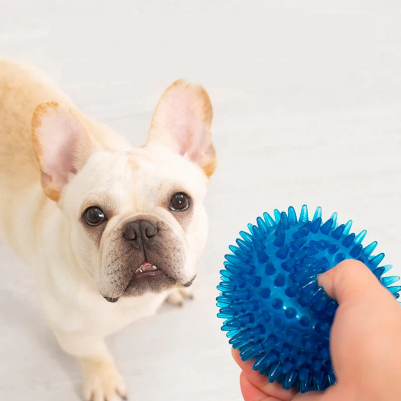 Squeaky Rubber Play Ball for Dogs