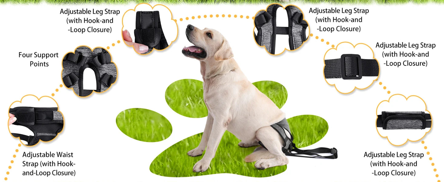 Hind Leg Support Dog Sling for Large & Senior Dogs | Adjustable Mobility Aid