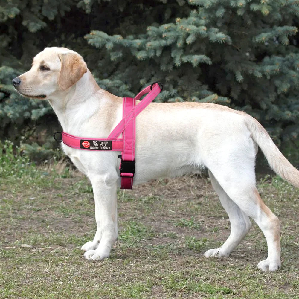 Tactical No-Pull Dog Harness - Reflective Nylon Vest for Training