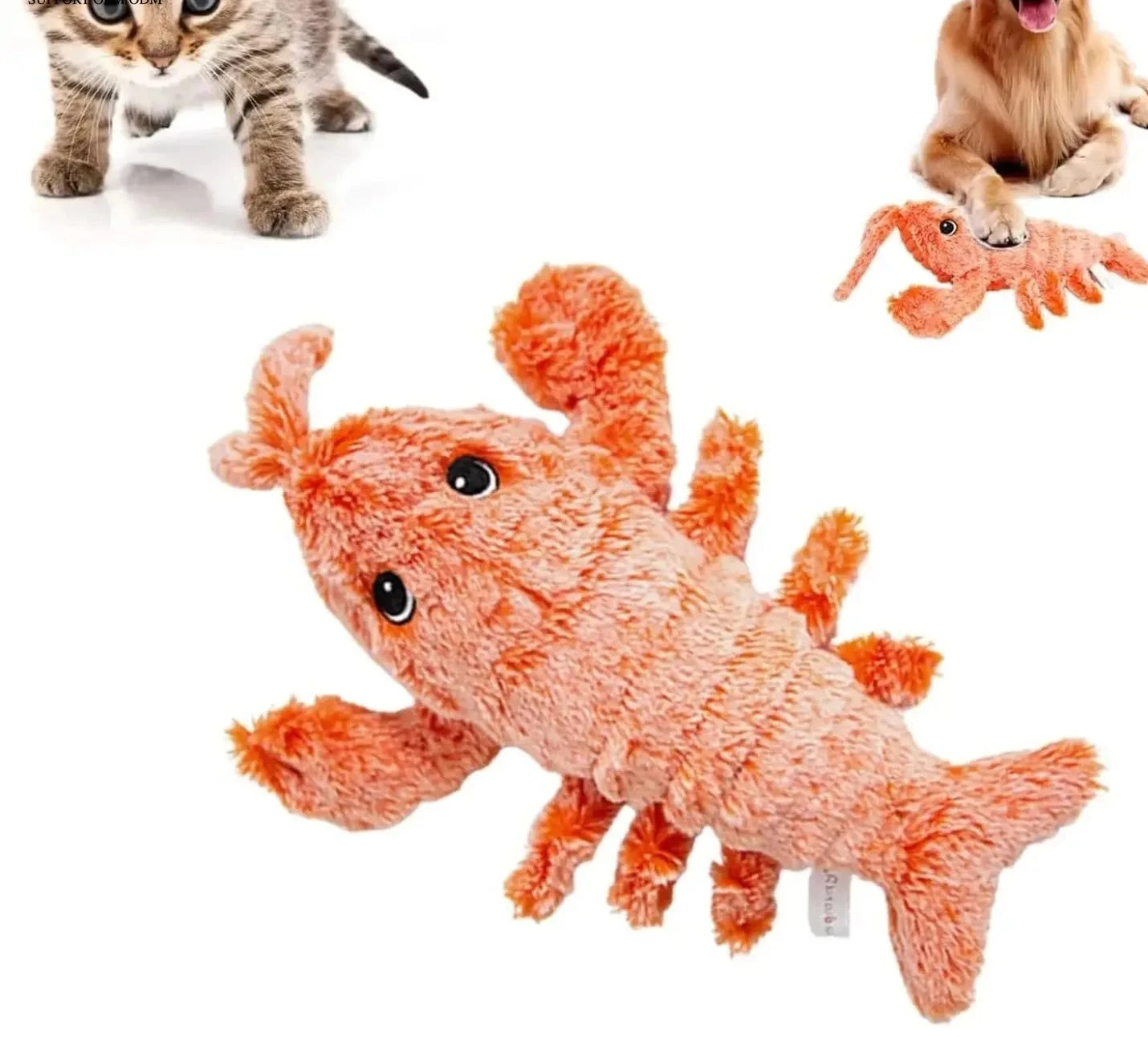 Jouet interactif pour chat homard vibrant avec herbe à chat