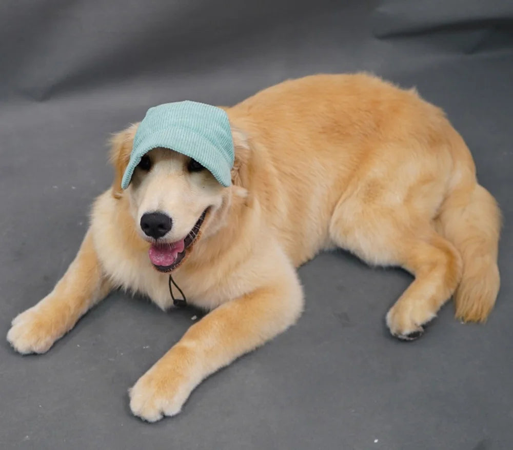 Fashionable Pet Dog Hat with Adjustable Sun Protection XS to XL Size for Small Medium Large Dogs Pet Outdoor Suppies Accessories