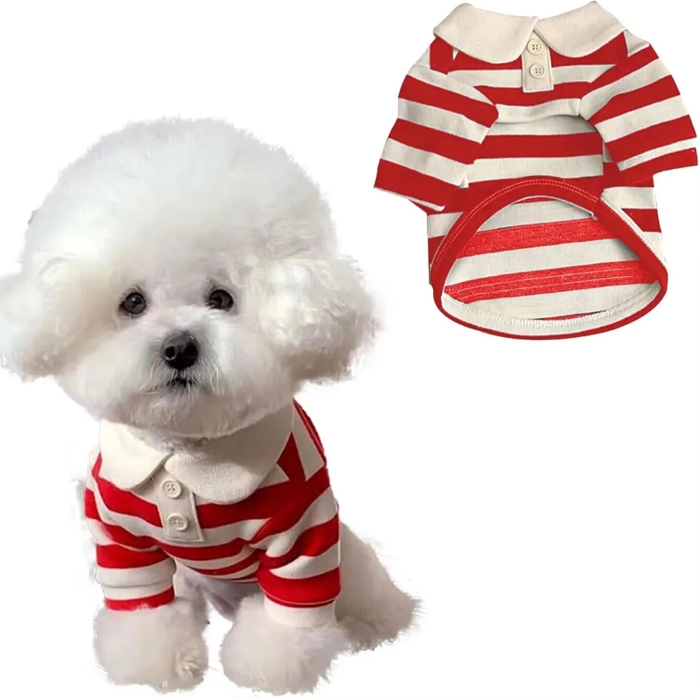 Chemise de luxe premium pour chien