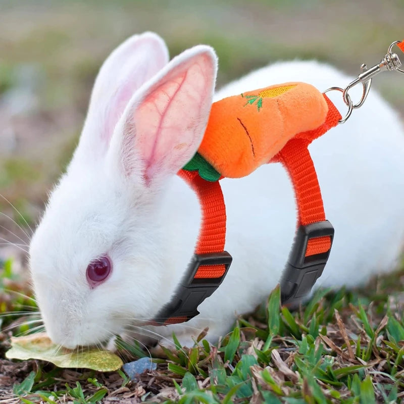 Cartoon Print Harness & Leash Set for Rabbits, Guinea Pigs & Small Pets