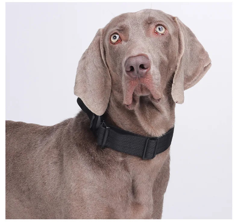 Harnais Tactique Réglable pour Grands Chiens
