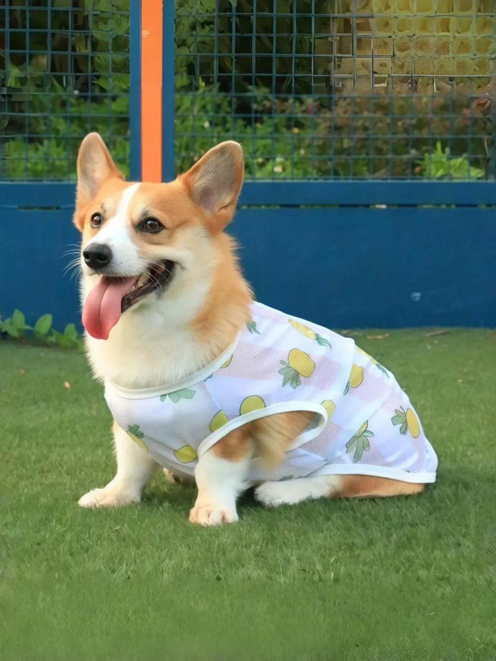 Breathable Mesh Cooling Vest for Dogs