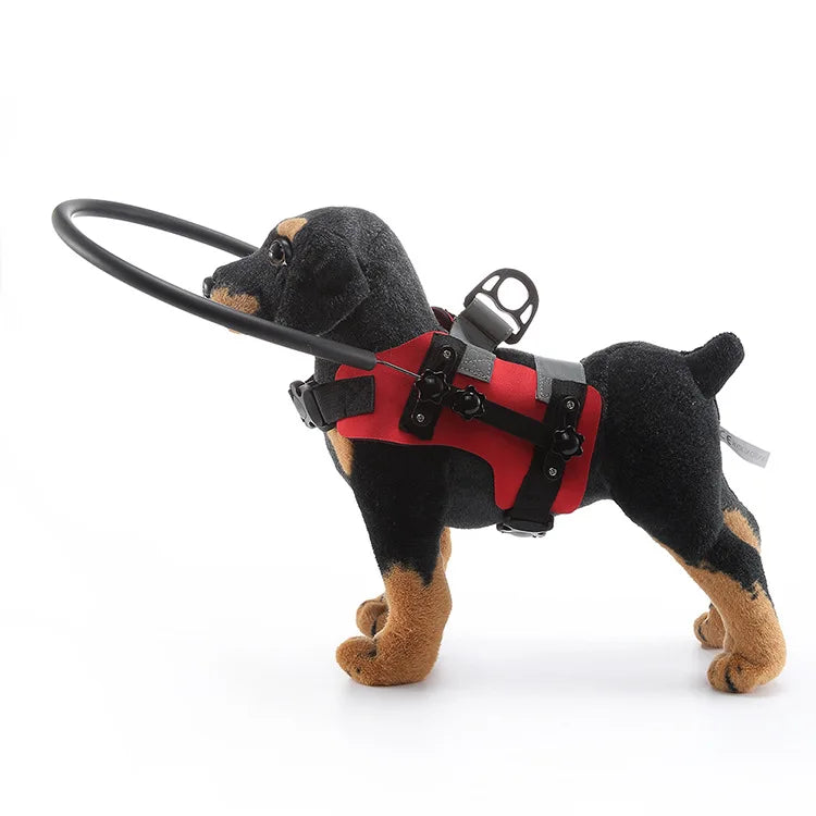 Anti-Collision Halo Collar for Blind & Visually Impaired Dogs