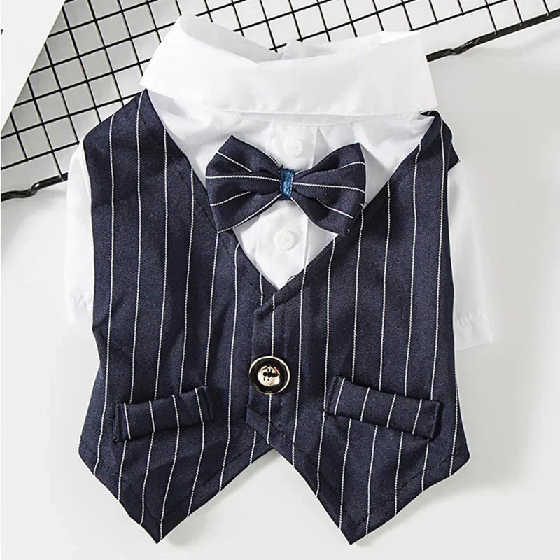 Striped Tuxedo Jacket with Bow for Small Dogs & Cats