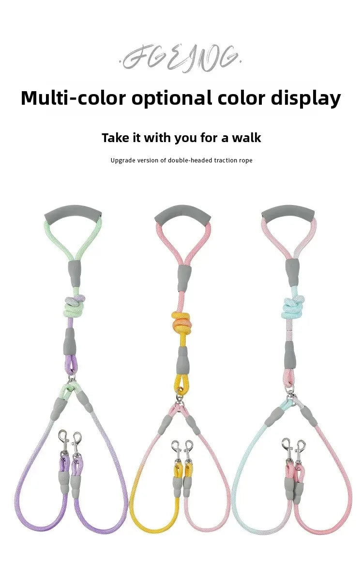 Ensemble complet de collier, harnais et laisse pour chien de qualité supérieure