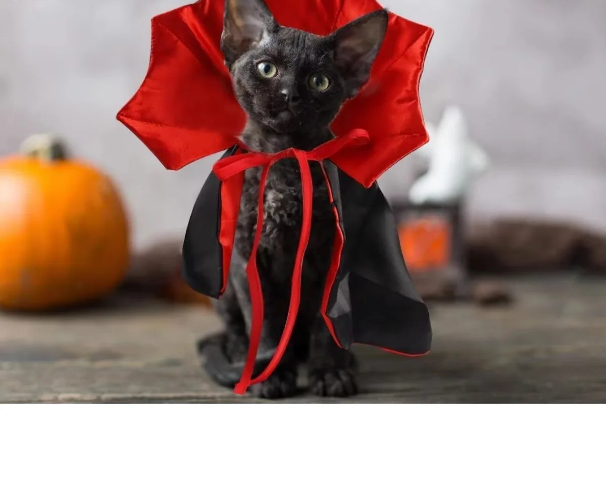 Cape de vampire pour chat – Costume d'Halloween réglable pour animaux de compagnie